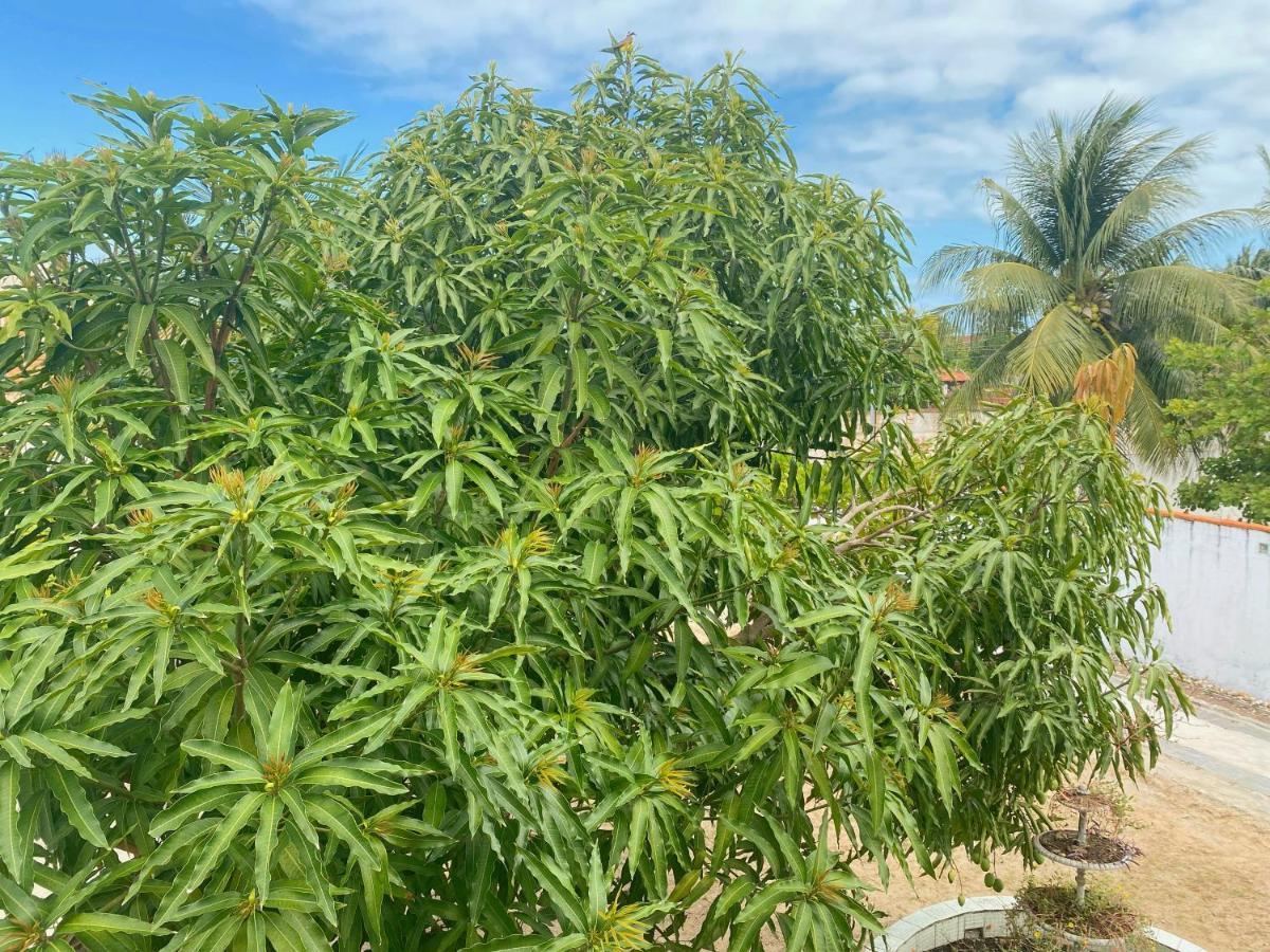 Sol, Mar E Privacidade Villa Aracaju Eksteriør bilde